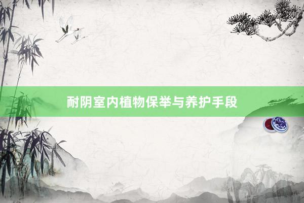 耐阴室内植物保举与养护手段