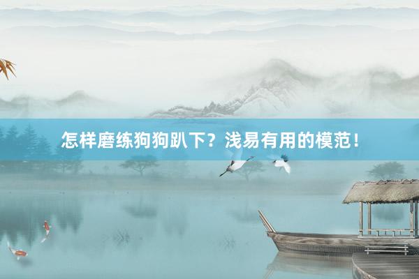 怎样磨练狗狗趴下？浅易有用的模范！